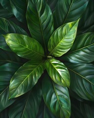 green tropical leaves top view. Floral background - obrazy, fototapety, plakaty