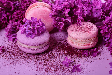 Obraz na płótnie Canvas Close up of Pastel colored sweet french macaroons with lilac flowers and splash of dry blueberry powder on pink background. Beautiful composition for bakery and pastry shop