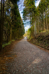 Magome, Japan - March 20 2016: Forests and creek on Central Mountain Route Nakasendo in Magome Japan