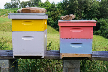 Colorful beehives on a wooden bench outside