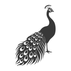 Foto op Canvas Silhouette Peafowl Birds Animal raise feather tail black color only © NikahGeh