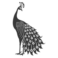 Fototapeta premium Silhouette Peafowl Birds Animal raise feather tail black color only