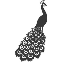 Silhouette Peafowl Birds Animal raise feather tail black color only - obrazy, fototapety, plakaty