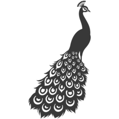 Foto op Canvas Silhouette Peafowl Birds Animal raise feather tail black color only © NikahGeh