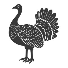 Fototapeta premium Silhouette Turkey Animal black color only full body