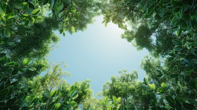 Looking up into a bright sky through a natural frame of lush green leaves, portraying a fresh, tranquil environment.