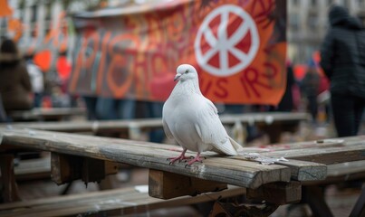 White pigeon perched on a wooden bench with a peace banner hanging in the background at a peaceful protest rally