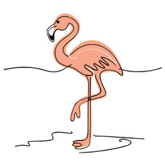drawing illustration of a flamingo