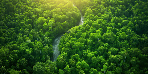Aerial view of forest stream amidst lush greenery and trees.
