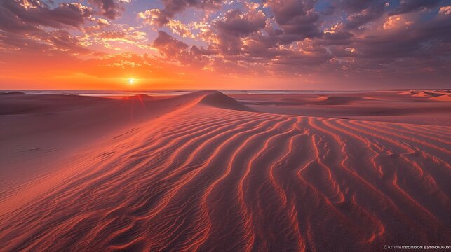 Sunset across the coastal lowlands granitic sand plains, Nature Reserve – NEOM, Saudi Arabia,