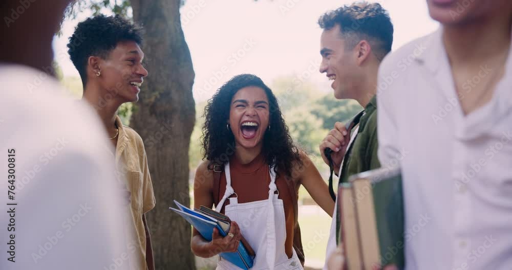 Sticker School, diversity and funny student friends on university campus together in summer. Education, college and study with group of young people laughing outdoor at academy for learning scholarship