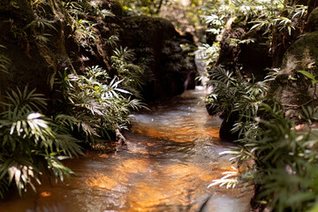 natural landscape of stream in canyon