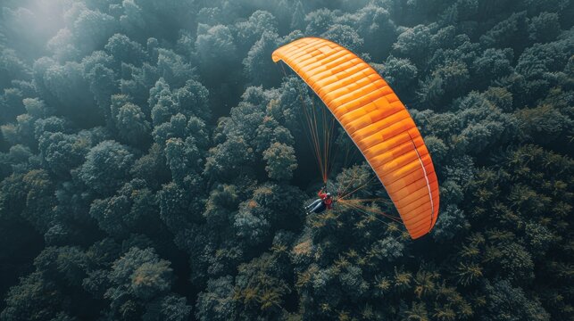 Person Parasailing Over Lush Green Forest