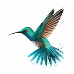 Foto op Canvas Flying hummingbird bird with long beak turquoise pl © iclute3