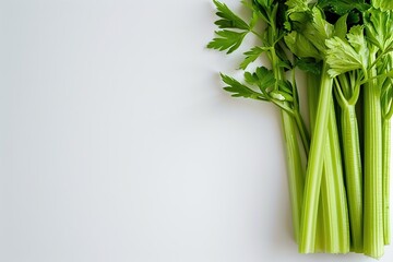 Green fresh celery sticks on white background