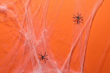 Cobweb and spiders on orange background, top view