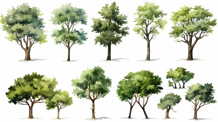 A set of green trees, vector illustration, in the style of watercolor, white background, simple design, high resolution