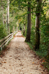 Obraz premium A serene dirt pathway meanders through a vibrant forest, lined with a rustic wooden fence and autumn leaves, invoking a peaceful walk in nature.