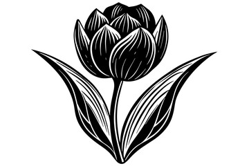 tulip flower silhouette vector art illustration