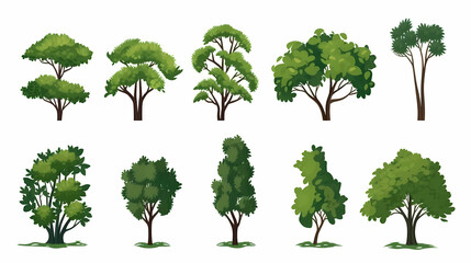 A set of green trees, vector illustration, in the style of watercolor, white background, simple design, high resolution