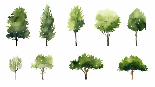 A set of green trees, vector illustration, in the style of watercolor, white background, simple design, high resolution