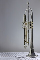 A view of the musical instrument which is the trumpet against the background of the sheet music © Damian Gretka