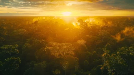 Fotobehang Beautiful green amazon forest landscape at sunset sunrise, bird perspective, copy and text space, 16:9 © Christian