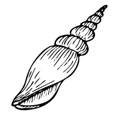 Seashell vector line art illustration. Hand drawn maritime sketch of seashell. Undersea drawing of seashell.  Isolated design element in outline style for icon, logo, seafood shop, menu, coloring.
