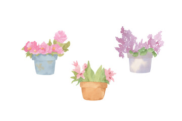 Set of watercolor flower pots illustrations - floral spring bouquets in pots. Spring peony, rose, iris, lilac.
