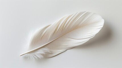 Close-up of a single feather against a white backdrop AI generated illustration
