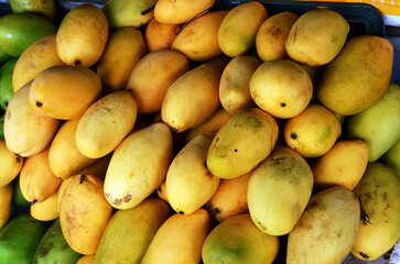 Papaya (Carica papaya) on a market stall in Vietnam