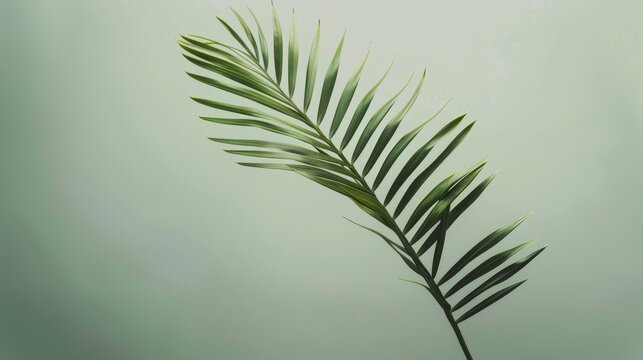 Minimalist interpretation of a palm frond in shades of green AI generated illustration