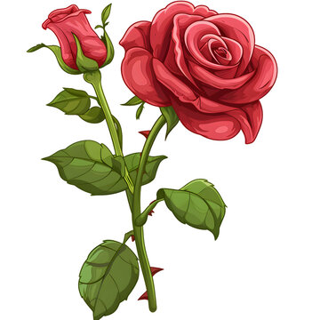 Cartoon Rose without background as png file for text, presentations, cards, invitations, letters