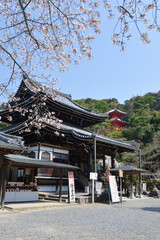 今熊野観音寺　本堂　京都市東山区泉涌寺