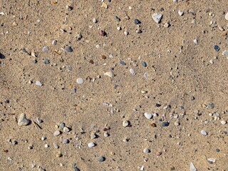 Close-up of scattered pebbles in beach sand background