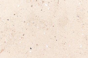Sand texture on the shore. Sand natural background.