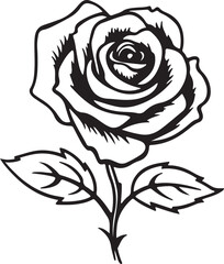 Rose Line Art Vector