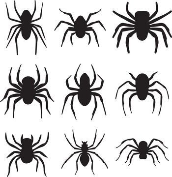 Spider Silhouette Vector Set