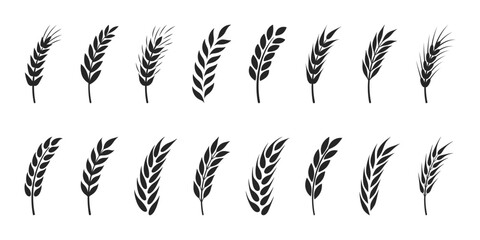 Flat Vector Agriculture Wheat, Cereal Ear Icon Set Isolated. Organic Wheat, Rice Ears. Design Template for Bread, Beer Logo, Packaging, Labels for Farming, Organic Food Concept