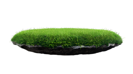grass green circle land ground floor garden or garden earth soil land layer and green grass floor circle section land isolated on white background. 3d illustration render