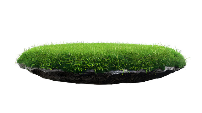Naklejki grass green circle land ground floor garden or garden earth soil land layer and green grass floor circle section land isolated on white background. 3d illustration render