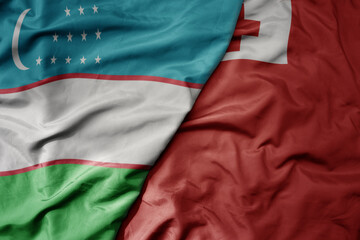 big waving national colorful flag of Tonga and national flag of uzbekistan.