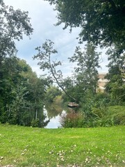 lake in the forest