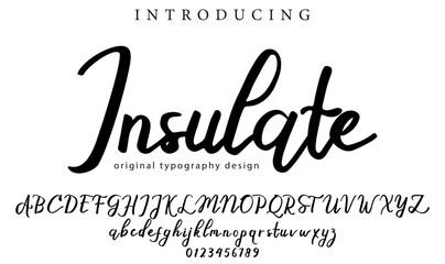 Insulate Font Stylish brush painted an uppercase vector letters, alphabet, typeface