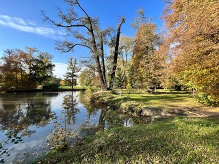 bank of small pond in autumn park