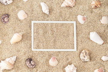 Top view of sea shells pattern on sandy background with creative white frame copy space. Minimal summer concept. Trendy tropical beach day scene idea. Summer aesthetic. Flat lay.
