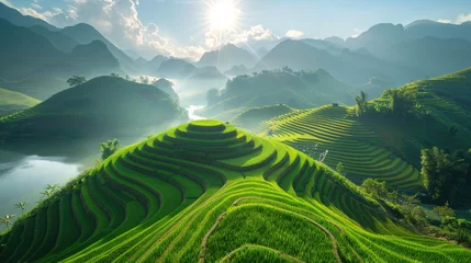 Voile Gardinen Reisfelder breathtaking natural green field of Mu Cang Chai terrace rice field at Vietnam.
