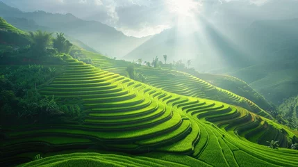 Papier Peint Lavable Mu Cang Chai breathtaking natural green field of Mu Cang Chai terrace rice field at Vietnam.