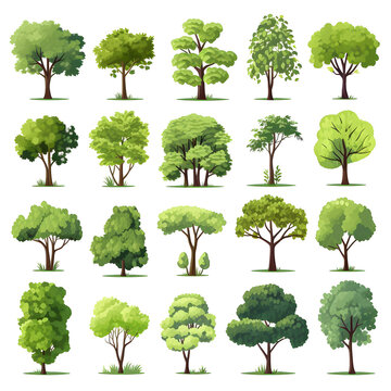Clipart illustration, set of green trees on white background. Suitable for crafting and digital design projects.[A-0005]