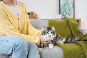 Owner with cute cat wearing recovery suit after sterilization at home